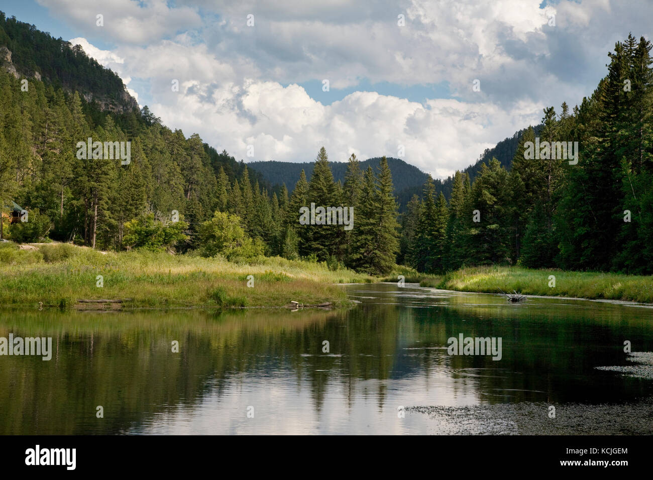 A trout stream and pond in the Spearfish Canyon area of the Black Hills