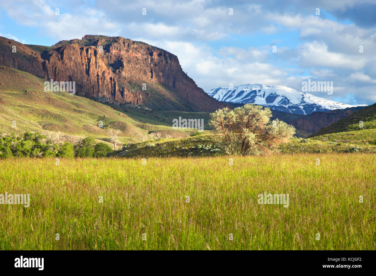A field and trees below a rugged cliff and snow-capped mountains in western Wyoming Stock Photo