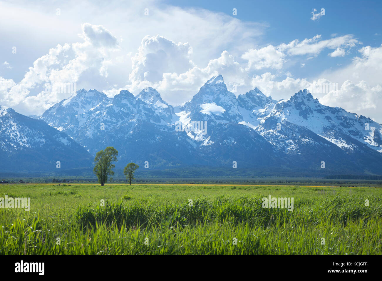 Grand Teton mountain range above grassy fields in Wyoming, USA Stock Photo