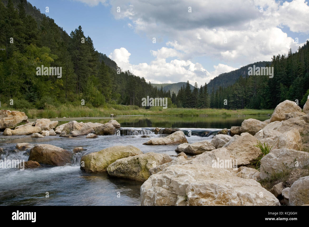 Trout stream and pond in Spearfish Canyon, Black Hills of South Dakota Stock Photo