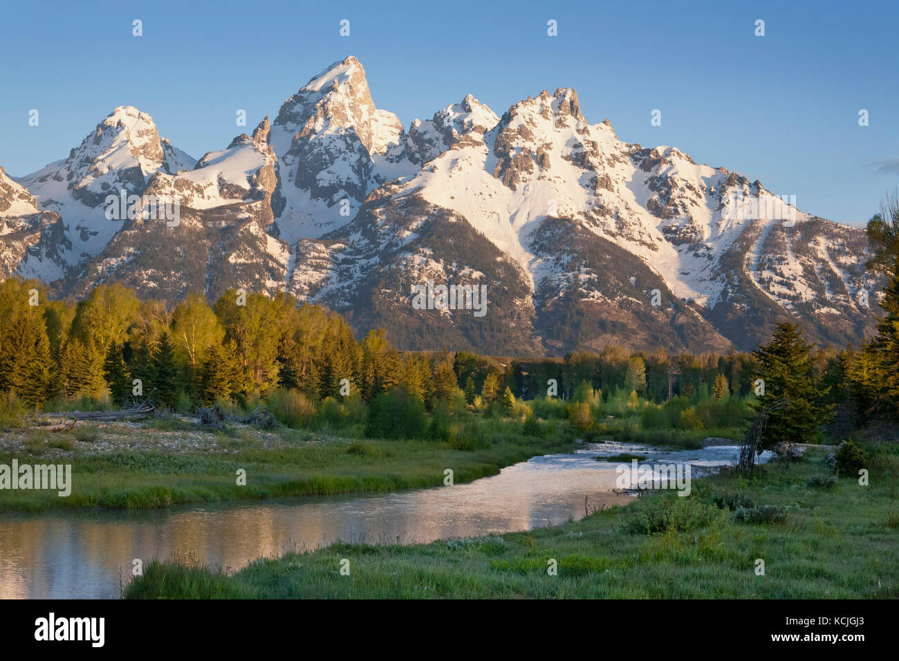 Grand Teton mountains with stream and trees in the foreground captured in morning light Stock Photo