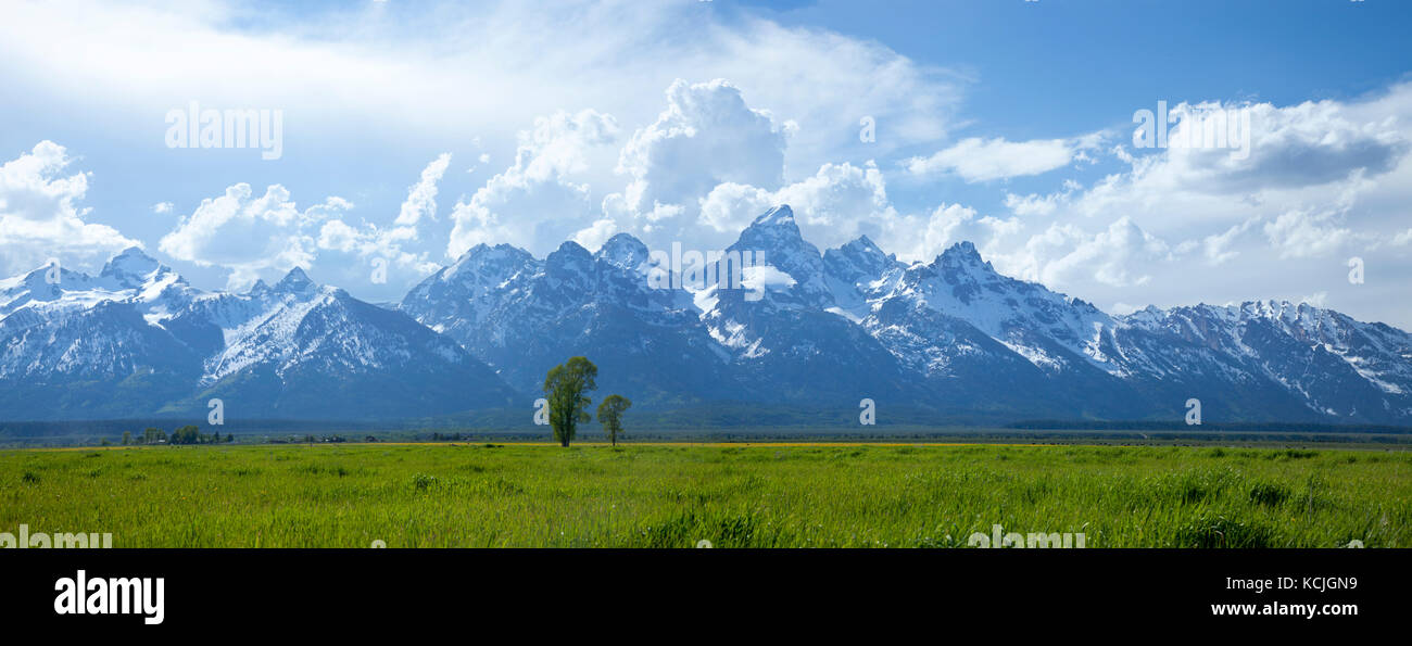 Panorama of the Grand Teton mountain range above grassy fields in Wyoming, USA Stock Photo