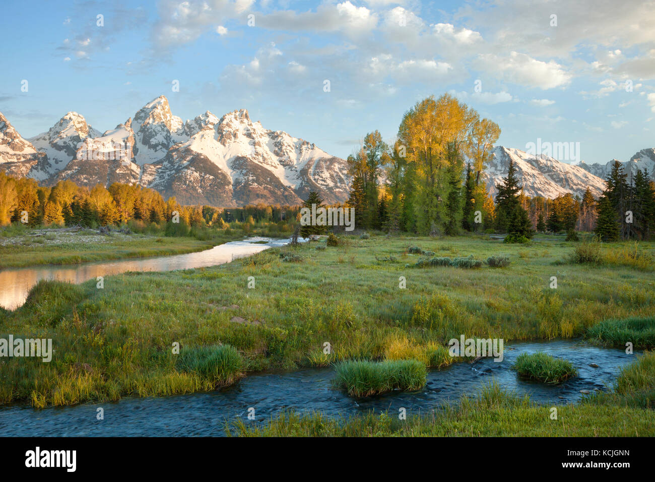 Grand Teton mountains with stream and trees in the foreground captured in morning light Stock Photo