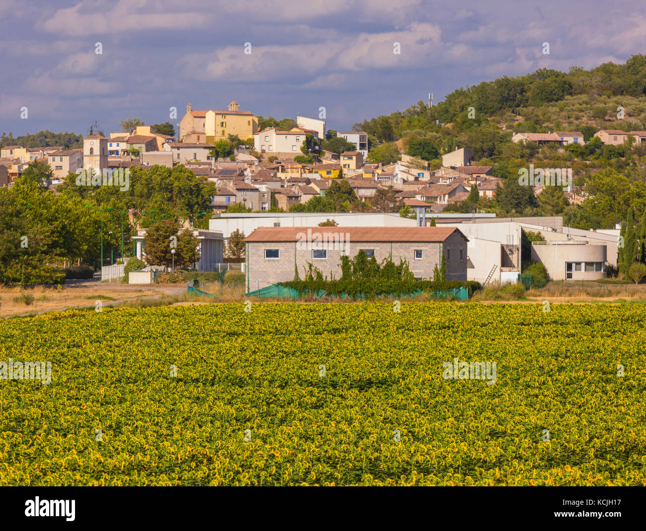 PROVENCE, FRANCE - Field of blooming sunflowers and town east of Riez. Stock Photo