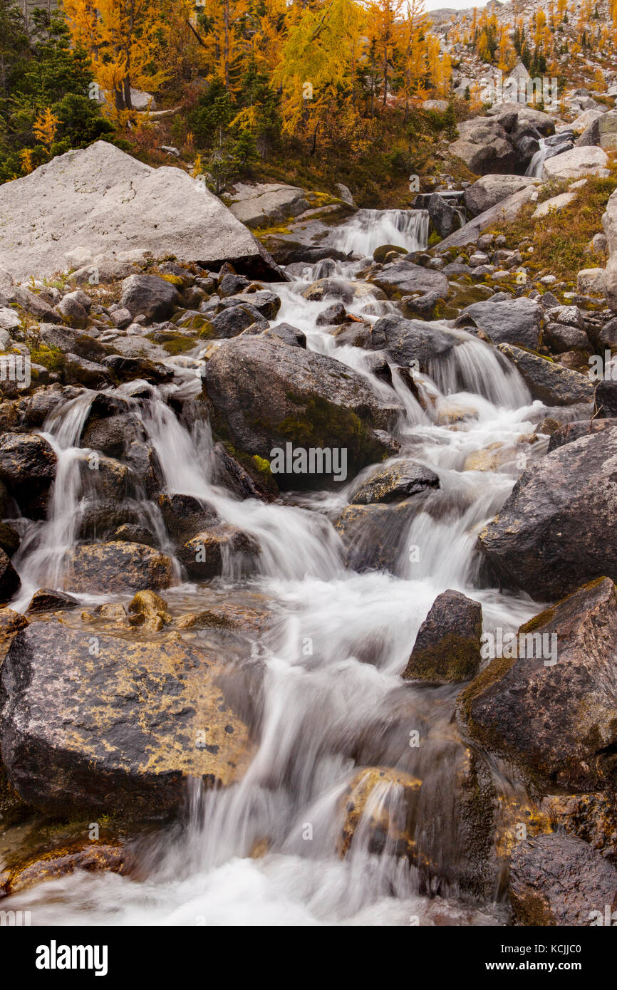 A cascading creek below fall larches in Bugaboo Provincial Park, Purcell Range, British Columbia, Canada. Stock Photo