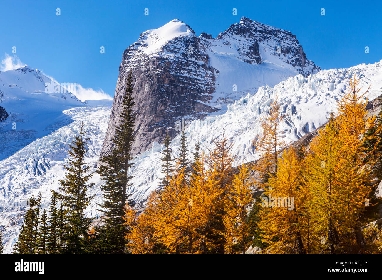 Hound’s Tooth and the seracs of the Bugaboo Glacier above fall larches in Bugaboo Provincial Park, Purcell Range, British Columbia, Canada. Stock Photo