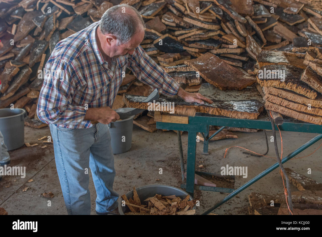 cork production at Azaruja, Alentejo, Portugal Stock Photo