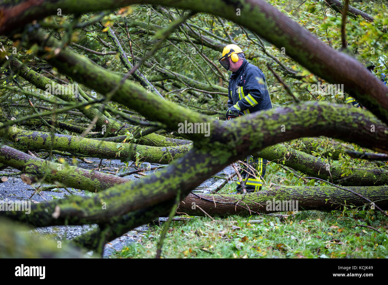 Wismar, Germany. 5th Oct, 2017. Several trees that fell in the storm are cleared off the road by the fire bridade near Wismar, Germany, 5 October 2017. The German Weather Service warns of orcan-like winds, falling trees and branches. Credit: Jens Büttner/dpa-Zentralbild/dpa/Alamy Live News Stock Photo