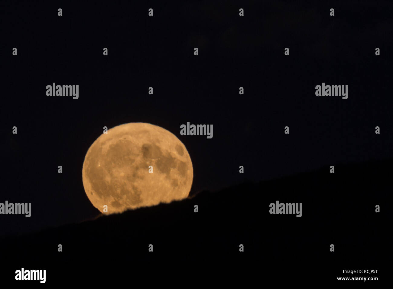 Above The Harvest Moon