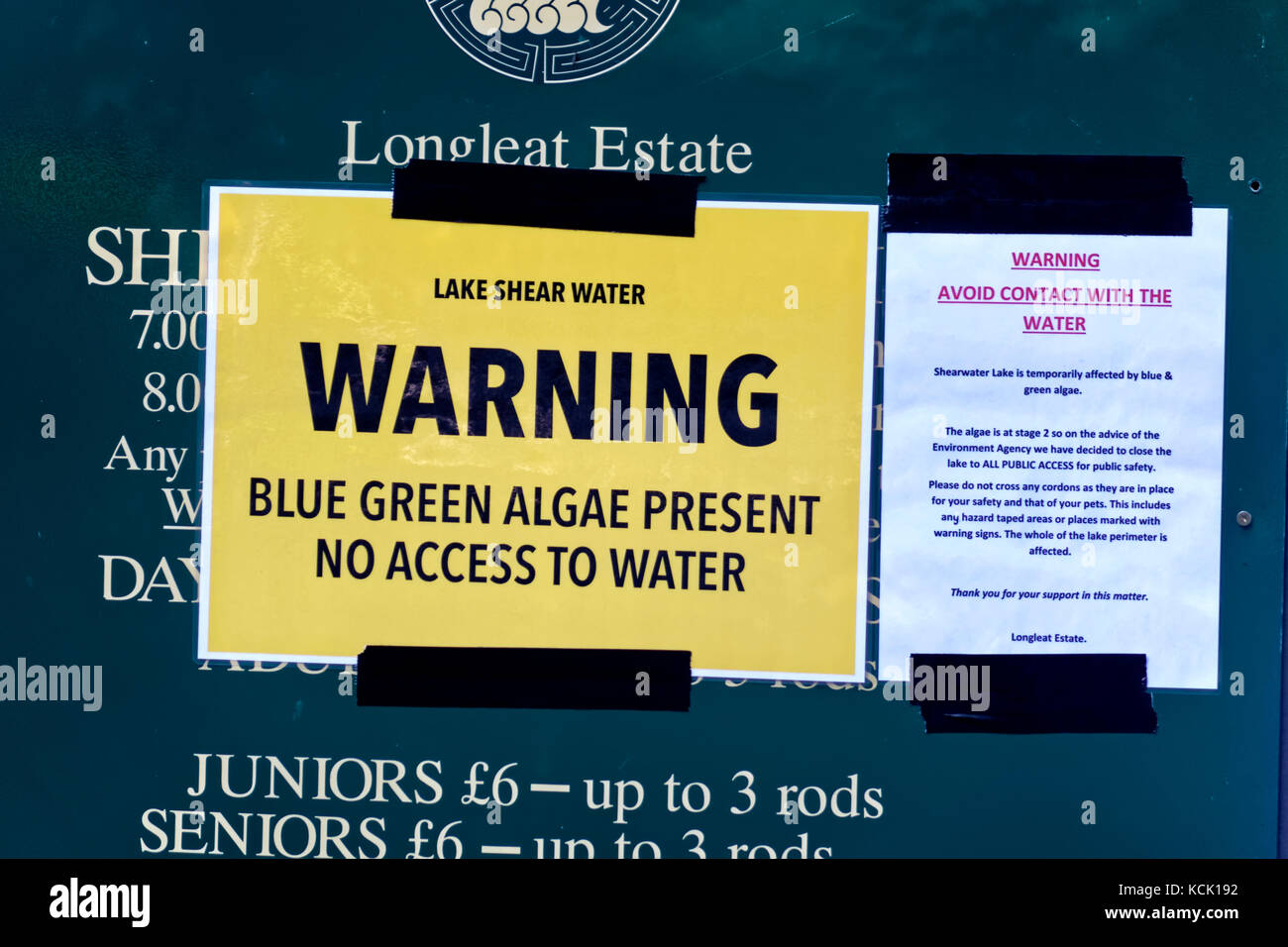 Shearwater Lake, Crockerton, Wiltshire, UK. 6th Oct, 2017. The discovery of a poisonous blue - green algae has forced Longleat Estate to temporarily close Shearwater Lake to the public as a precaution until the algae can be cleared. Credit: Andrew Harker/Alamy Live News Stock Photo