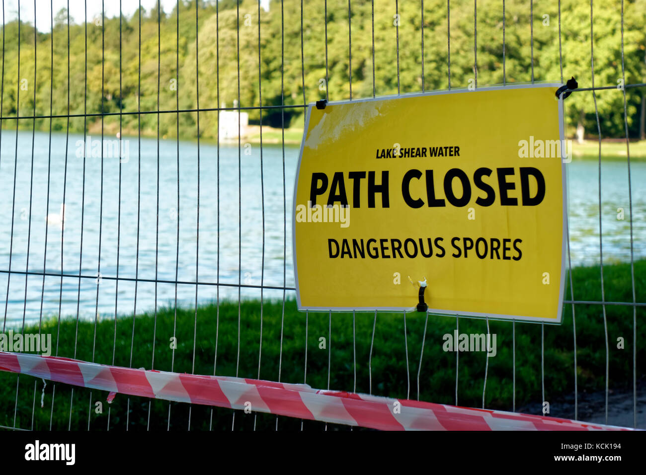 Shearwater Lake, Crockerton, Wiltshire, UK. 6th Oct, 2017. The discovery of a poisonous blue - green algae has forced Longleat Estate to temporarily close Shearwater Lake to the public as a precaution until the algae can be cleared. Credit: Andrew Harker/Alamy Live News Stock Photo