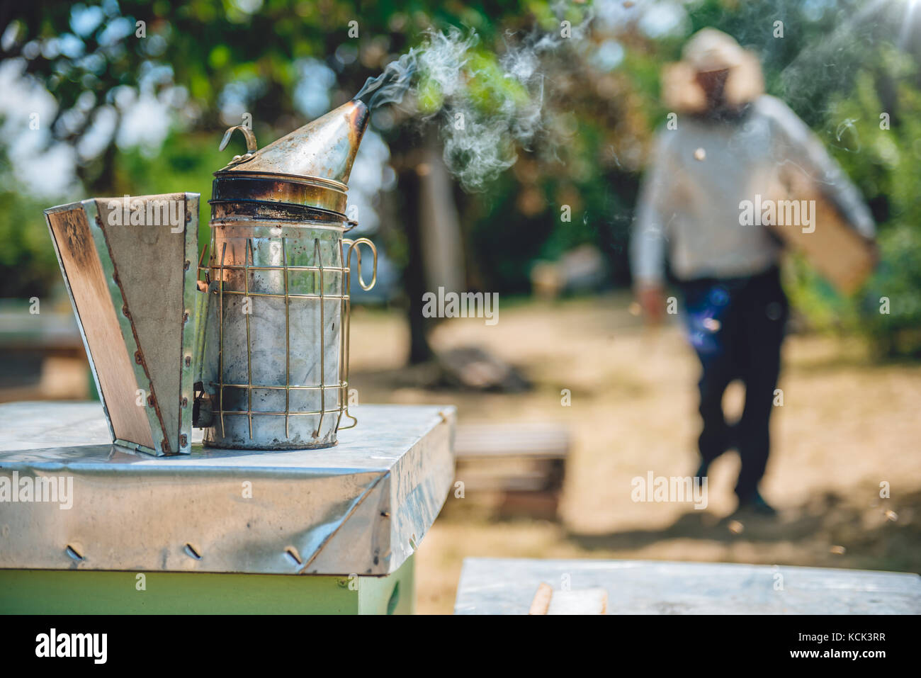 Beekeeper smoking pot standing on the hives Stock Photo