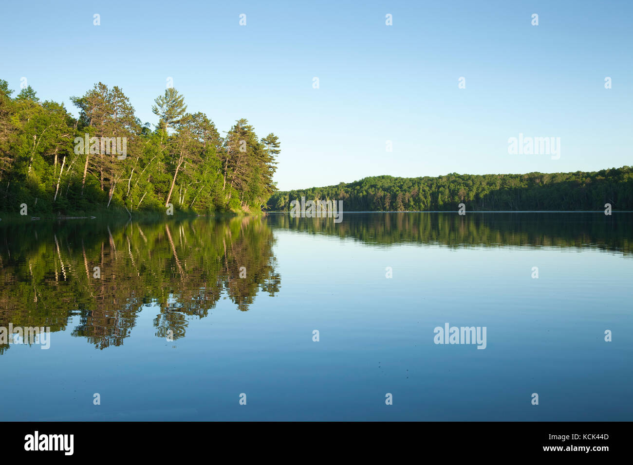 A calm northern Minnesota lake with pine trees at sunset on a clear day Stock Photo