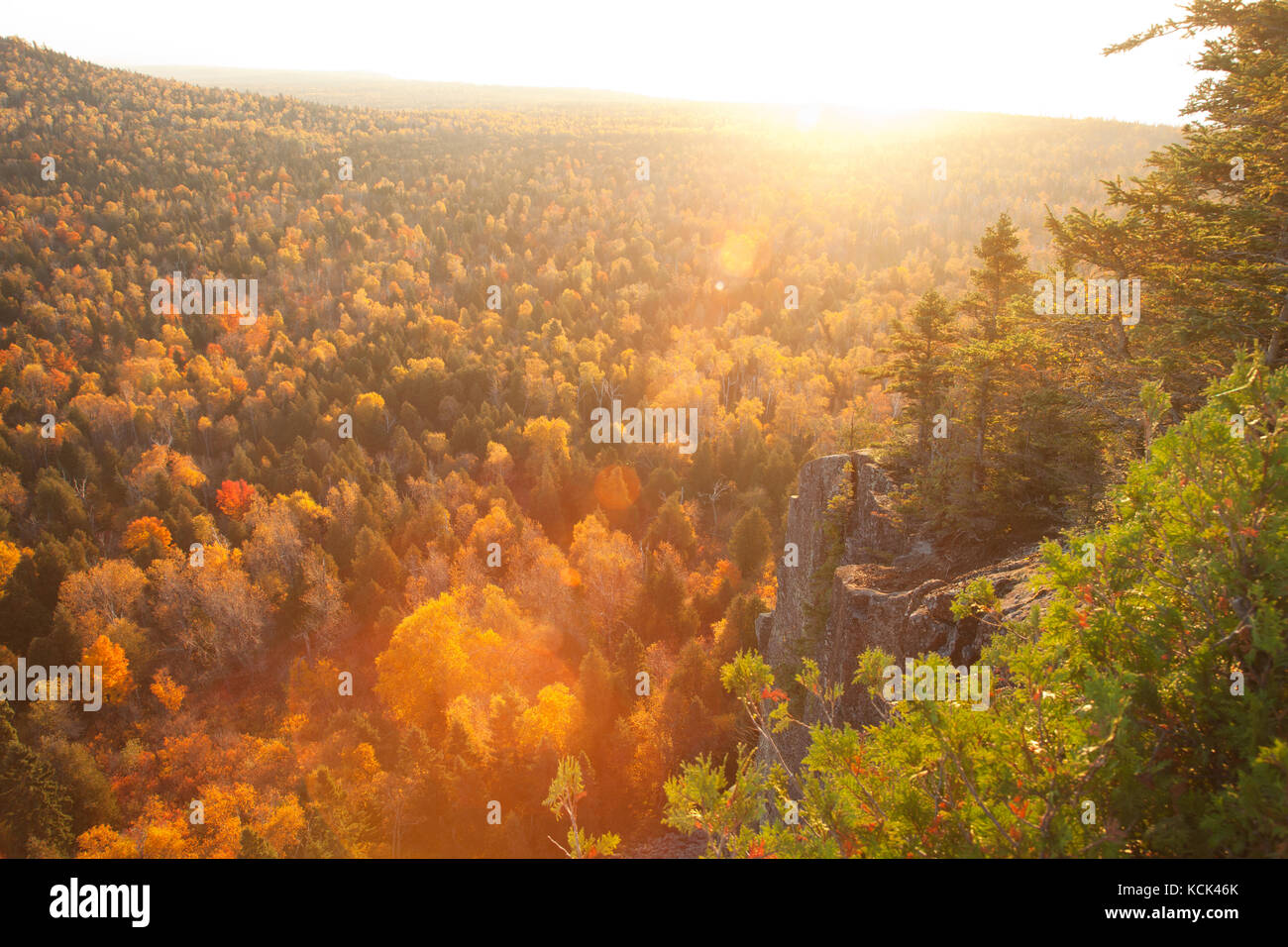 Backlit cliff and pines with lens flare above aspen trees in fall color on Oberg Mountain in northern Minnesota Stock Photo
