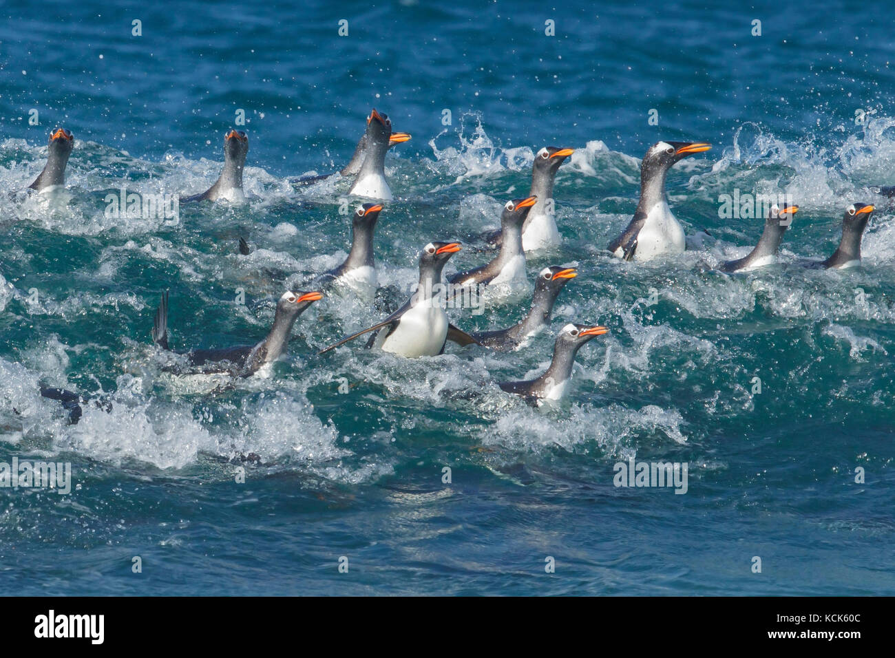 Land waves hi-res stock photography and images - Alamy
