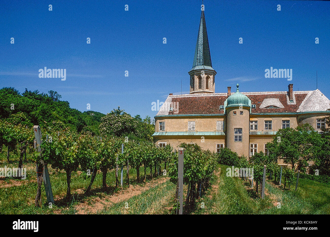 Gumpoldskirchen, Thermenregion, Austria Stock Photo