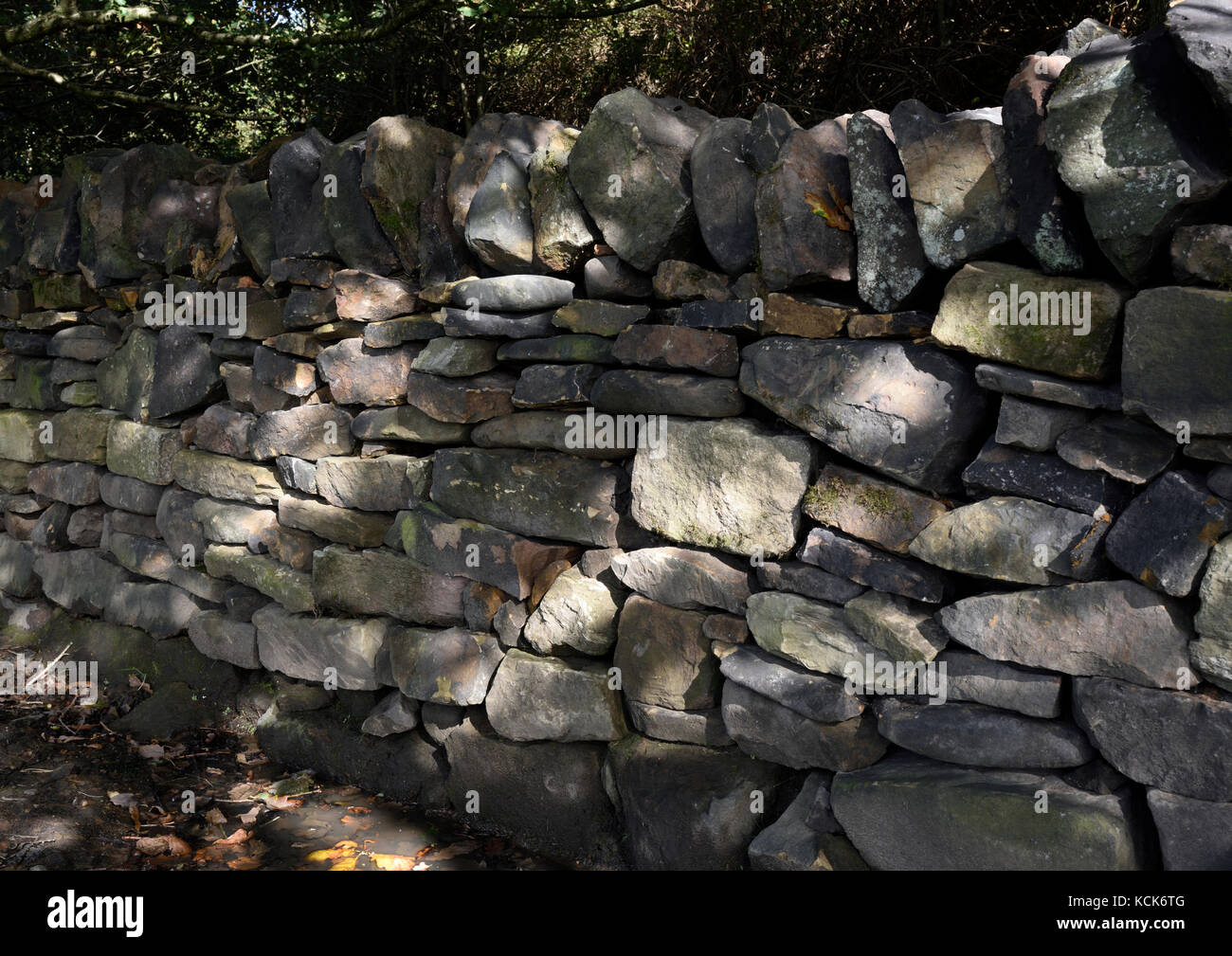 Dry stone wall with dappled sunlight in burrs country park bury lancashire uk Stock Photo