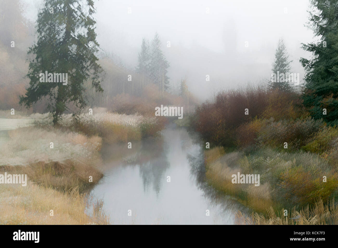 Canada, British Columbia, Centennial Park, 100 Mile House, Cariboo, Bridge Creek, abstract, landscape, autumn, fall colours, art, photographic art, expressionist, impressionist, colour, horizontal, Stock Photo