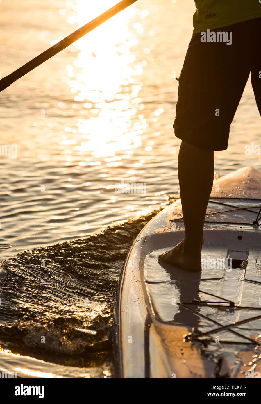 A setting sun backlights a Stand Up Paddle boarder, paddling in Comox Bay.  Comox,  Vancouver Island, British Columbia, Canada. Stock Photo