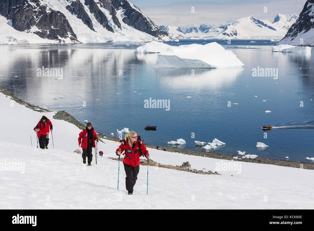 Hiking passengers form a cruiseship scale a snowfield enroute to a Penguin colony along the Danco Coast, antarctic Peninsula, antarctica. Stock Photo