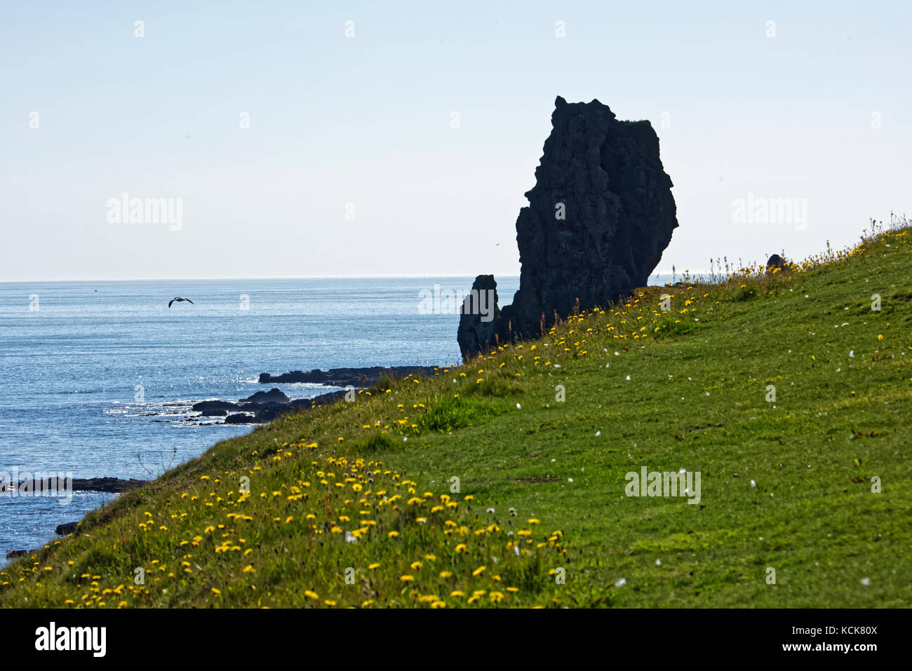 Shoreline and cliffs of basalt rock at Arnarstapi nature reserve seen ...
