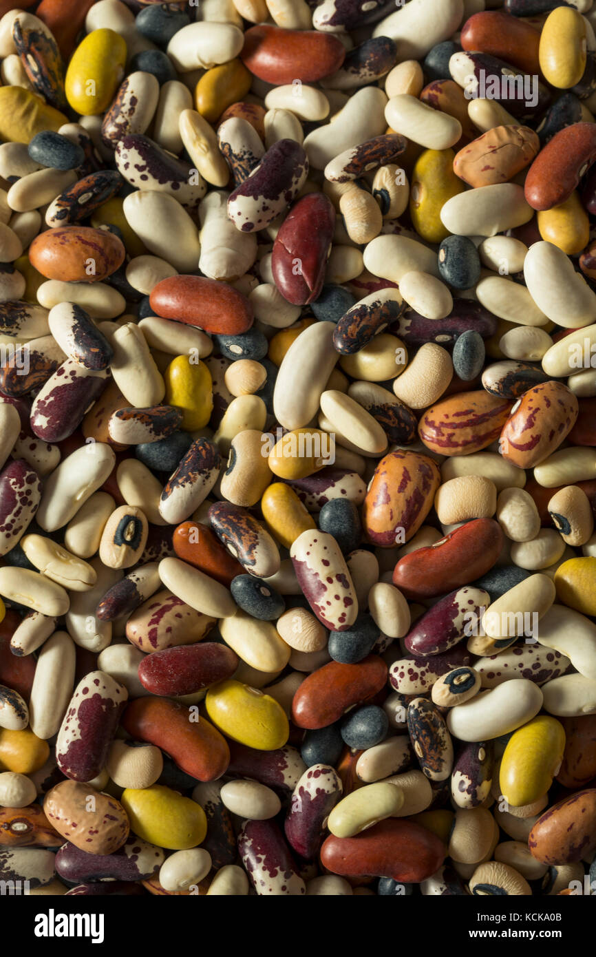 Heap of Assorted Mixed Organic Dry Beans in a Bowl Stock Photo