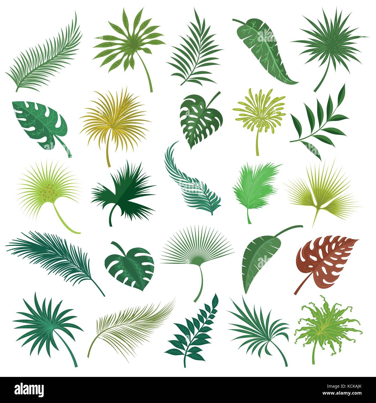 Palm exotic leaves set Stock Vector