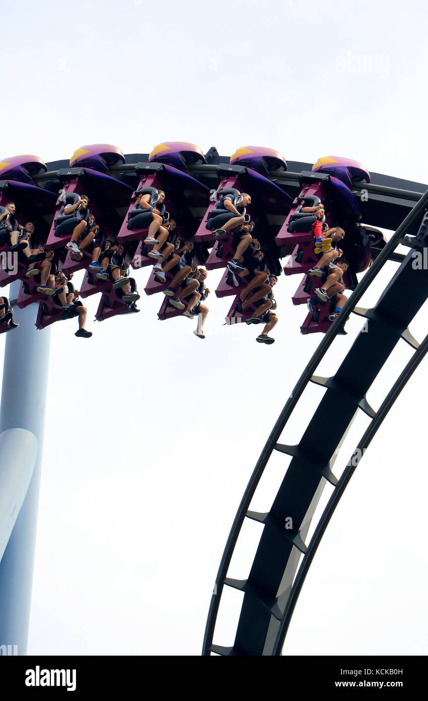 Great Bear roller coaster in Hersheypark,Hershey,Pennsylvania,USA Stock