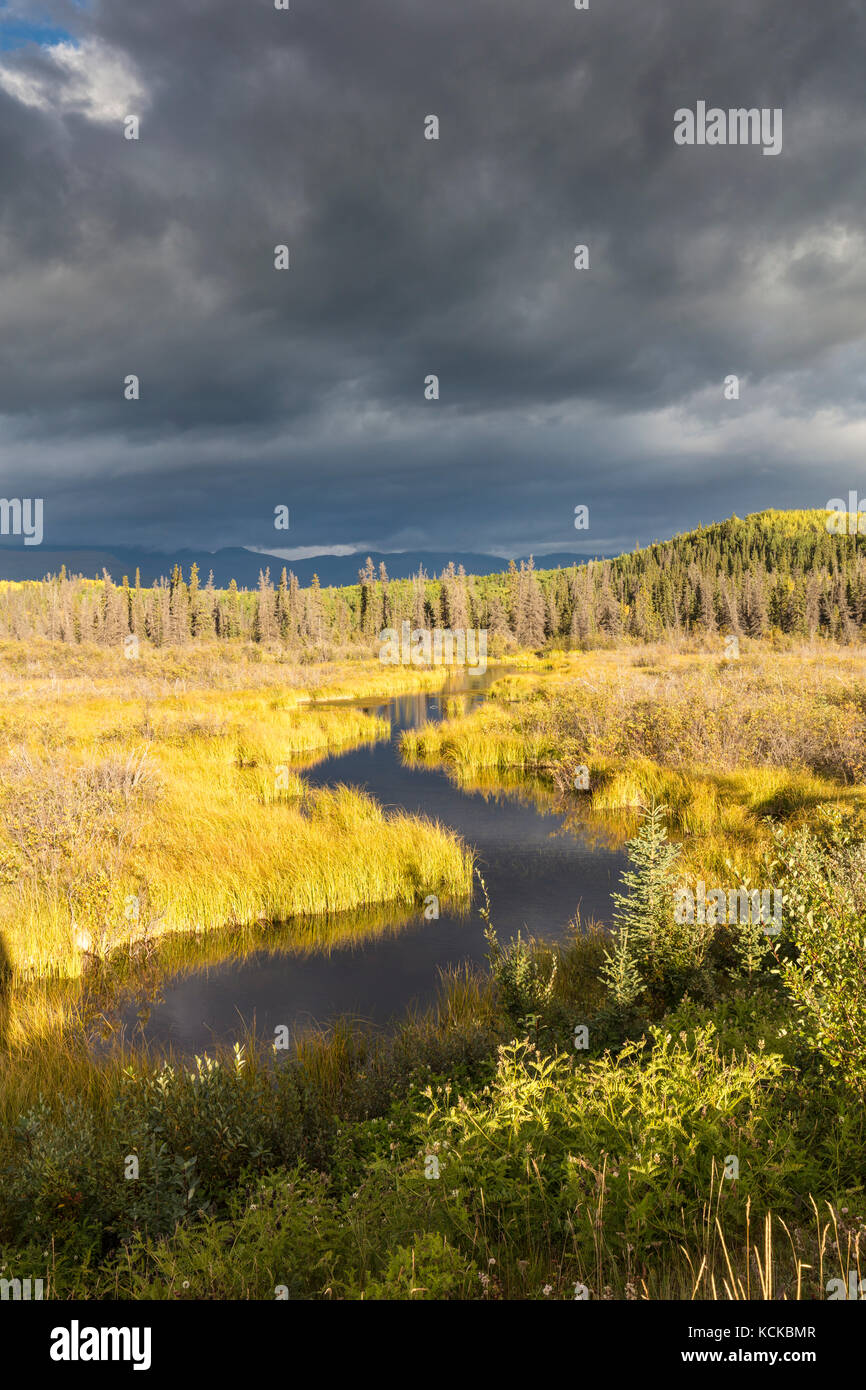 Flying Squirrel Creek along the Haines Highway in the Yukon, Canada