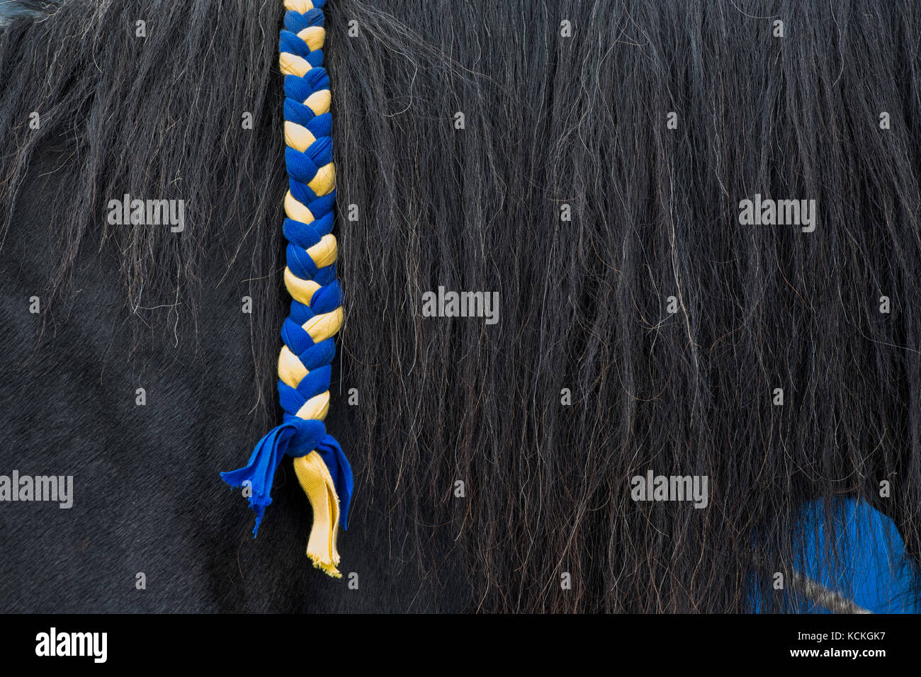 Horse braid abstract hires stock photography and images Alamy