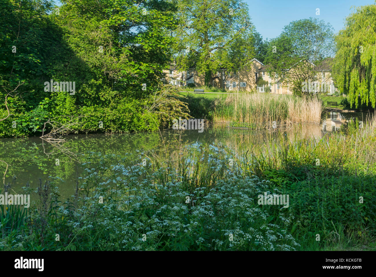 Cirencester; Abbey grounds park, lake, river Chum, Gloucestershire; UK