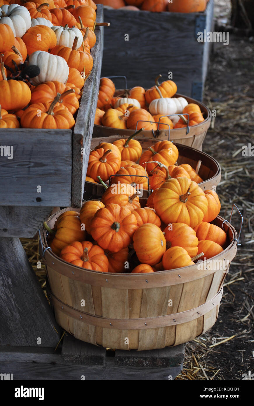 Bushel baskets hi-res stock photography and images - Alamy