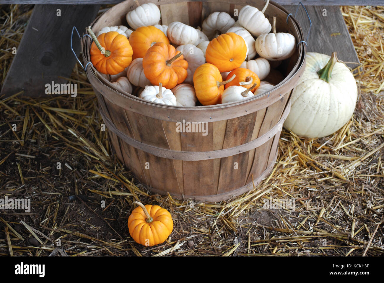 Bushel basket hi-res stock photography and images - Alamy