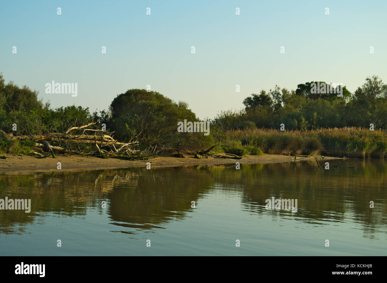 View of one of the channel of the Delta of Po river near the Adriatic sea not far from Goro village, Ferrara, Italy Stock Photo