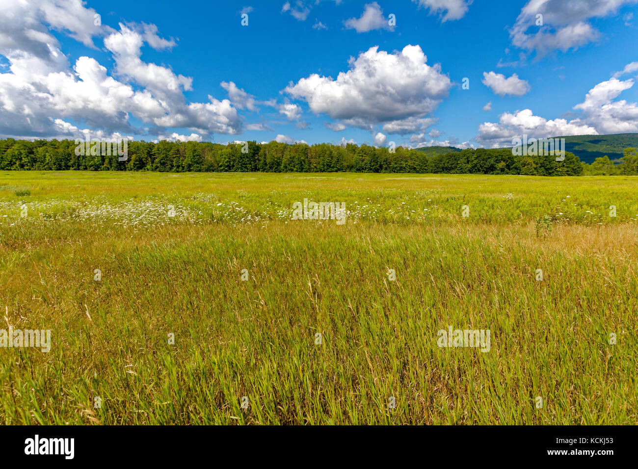 Summer view with clouds and blue sky Stock Photo