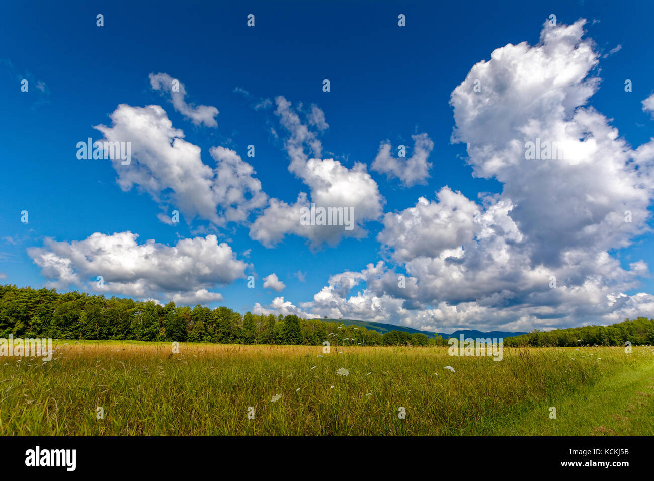 Summer view with clouds and blue sky Stock Photo