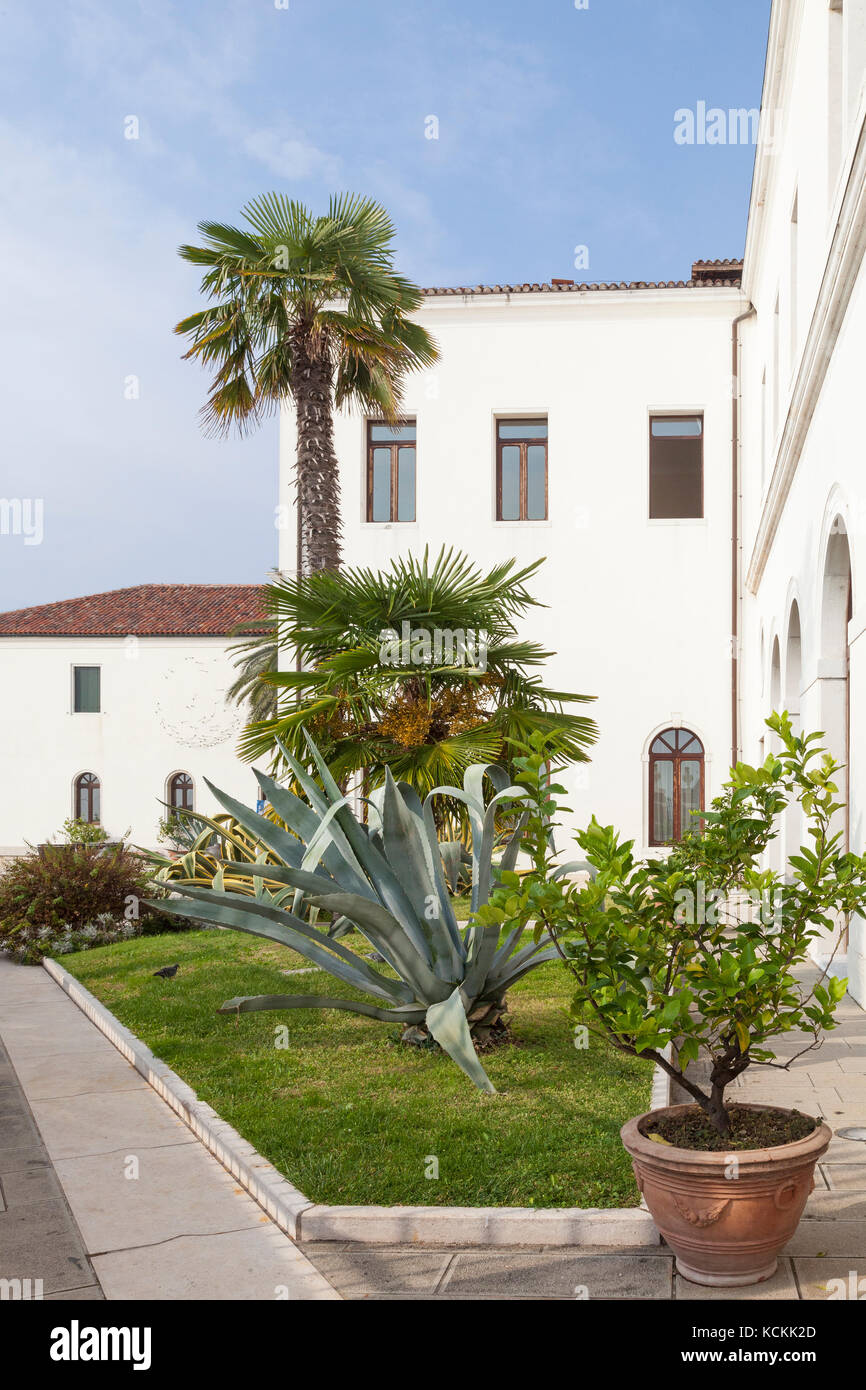 San Servolo Island, Venice, Italy. Tropical plants and palm trees in