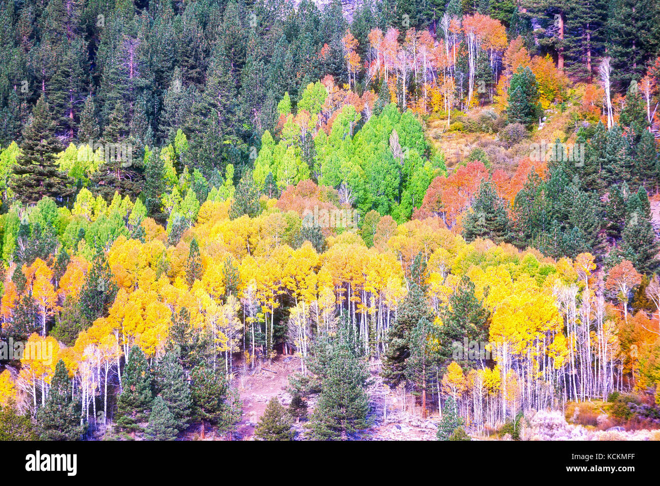 Hope Valley is accessible through Highway 89 in the Tahoe area in California Stock Photo Alamy