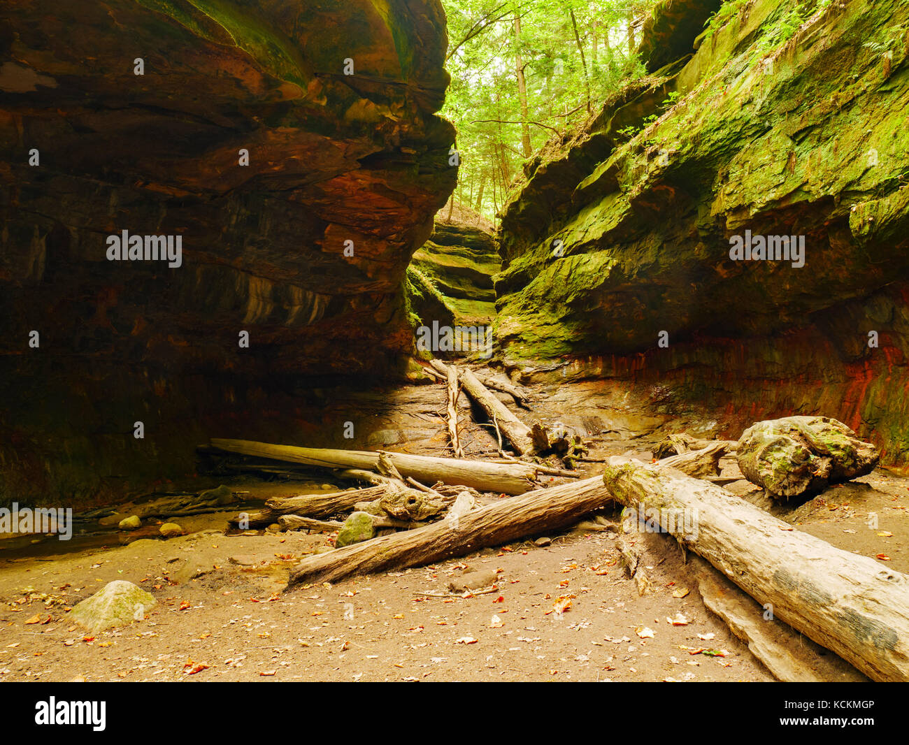 Rocky Hollow. Turkey Run State Park, Indiana Stock Photo Alamy