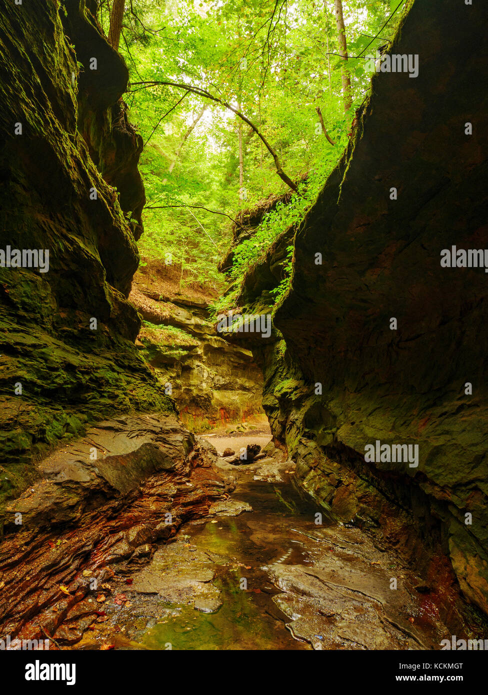 Rocky Hollow. Turkey Run State Park, Indiana Stock Photo - Alamy