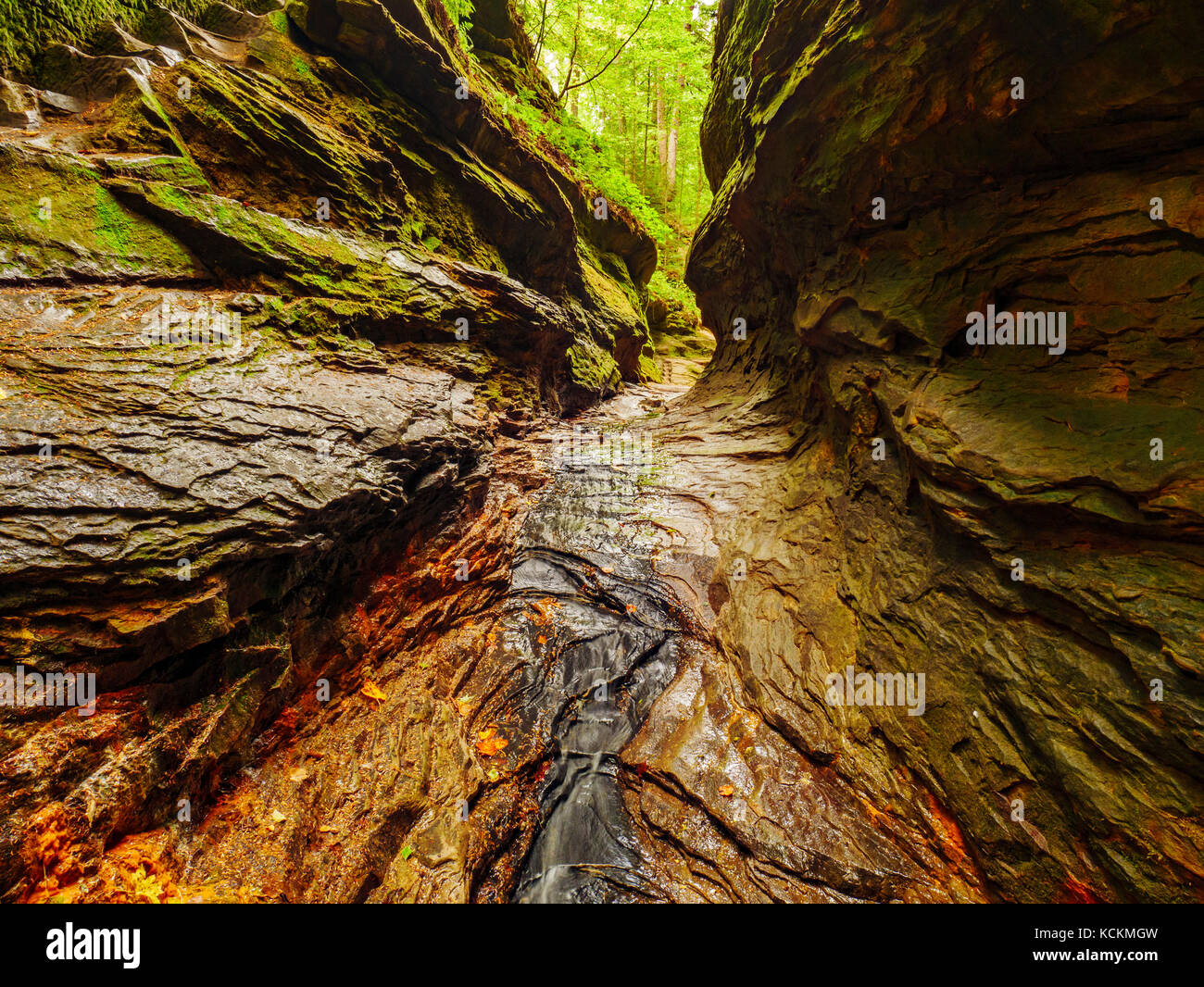 Rocky Hollow. Turkey Run State Park, Indiana Stock Photo Alamy