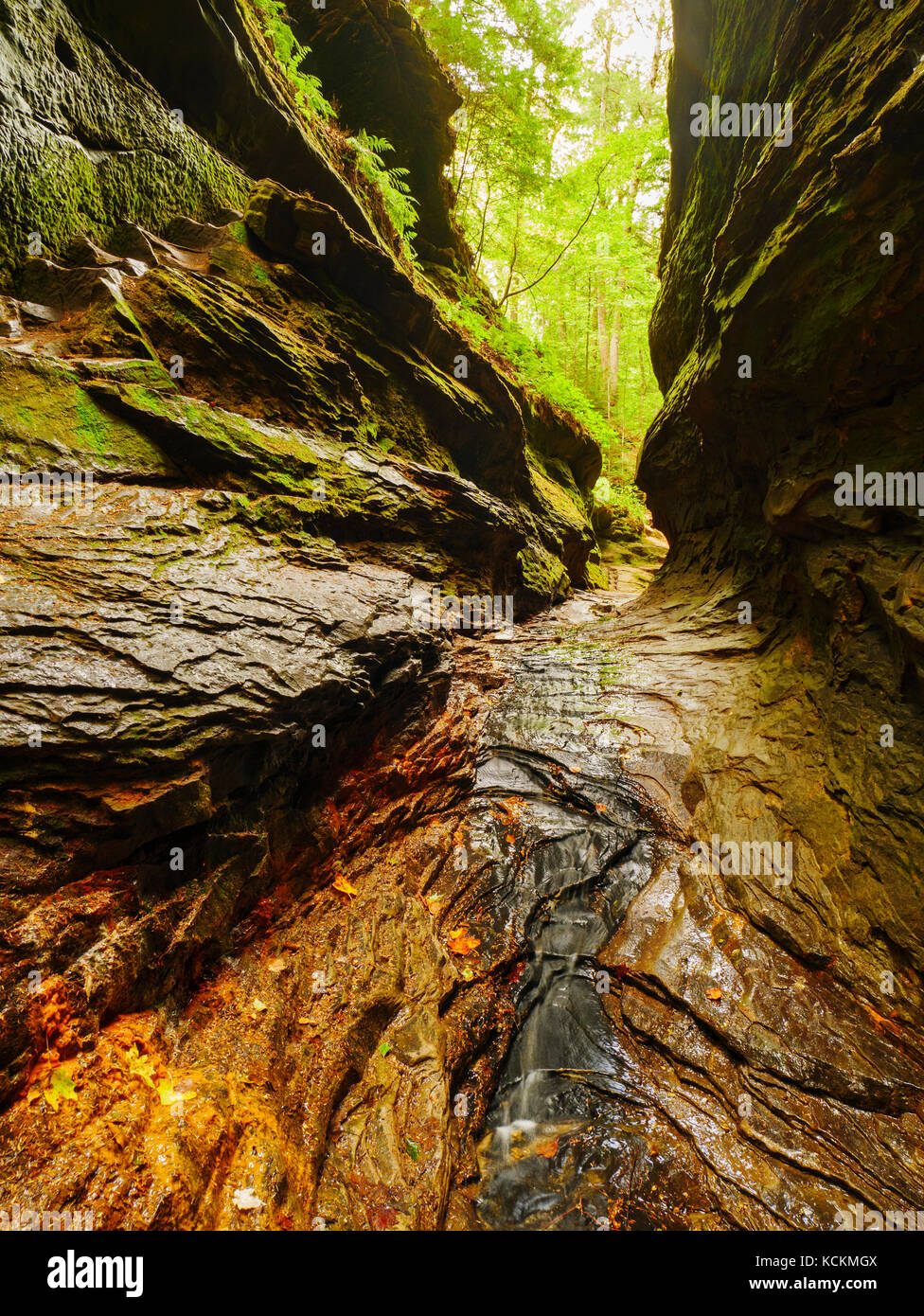 Rocky Hollow. Turkey Run State Park, Indiana Stock Photo - Alamy