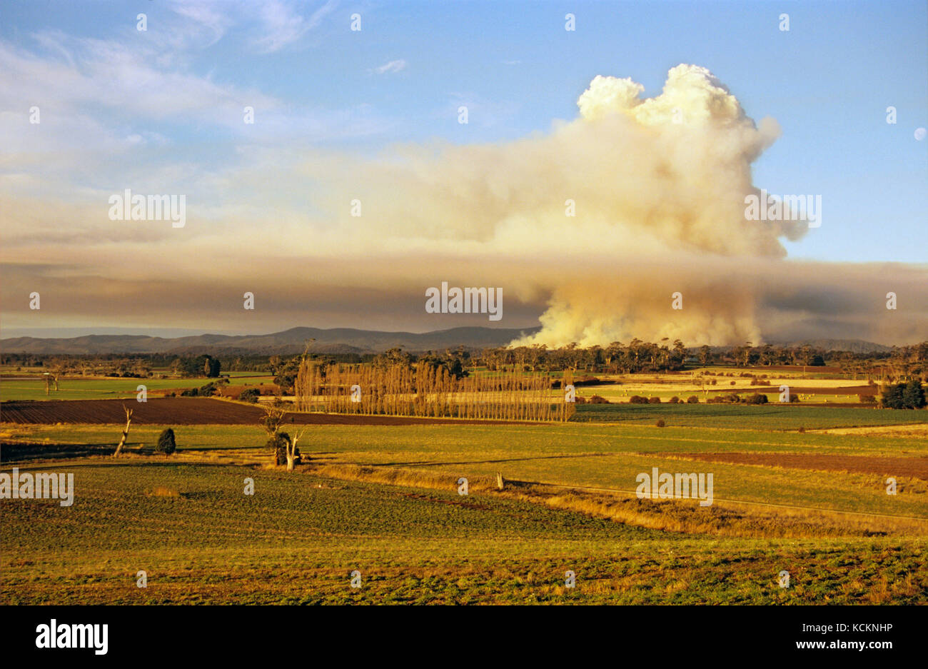 Tmar Logging Logging methods hi-res stock photography and images - Alamy