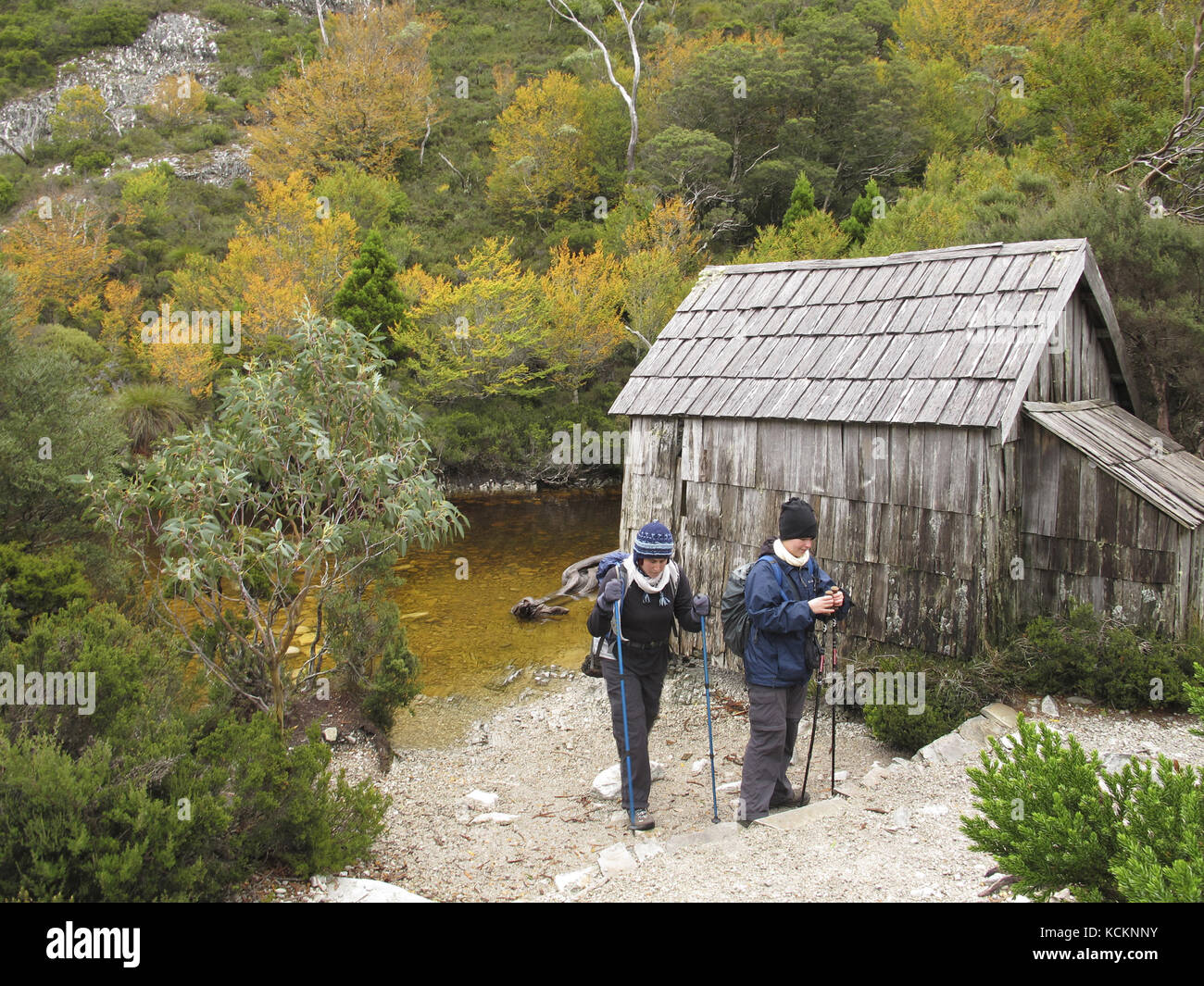 Two walkers setting off from Crater Lake Boatshed surrounded by Deciduous beeches (Fuscospora gunnii) in autumn foliage. Cradle Mountain-Lake St Clair Stock Photo