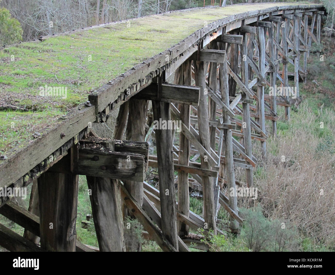 Boggy Creek Trestle Bridge, 1915, that used to carry the line from Wodonga to Corryong and now part of the High Country Rail Trail for walkers, cyclis Stock Photo