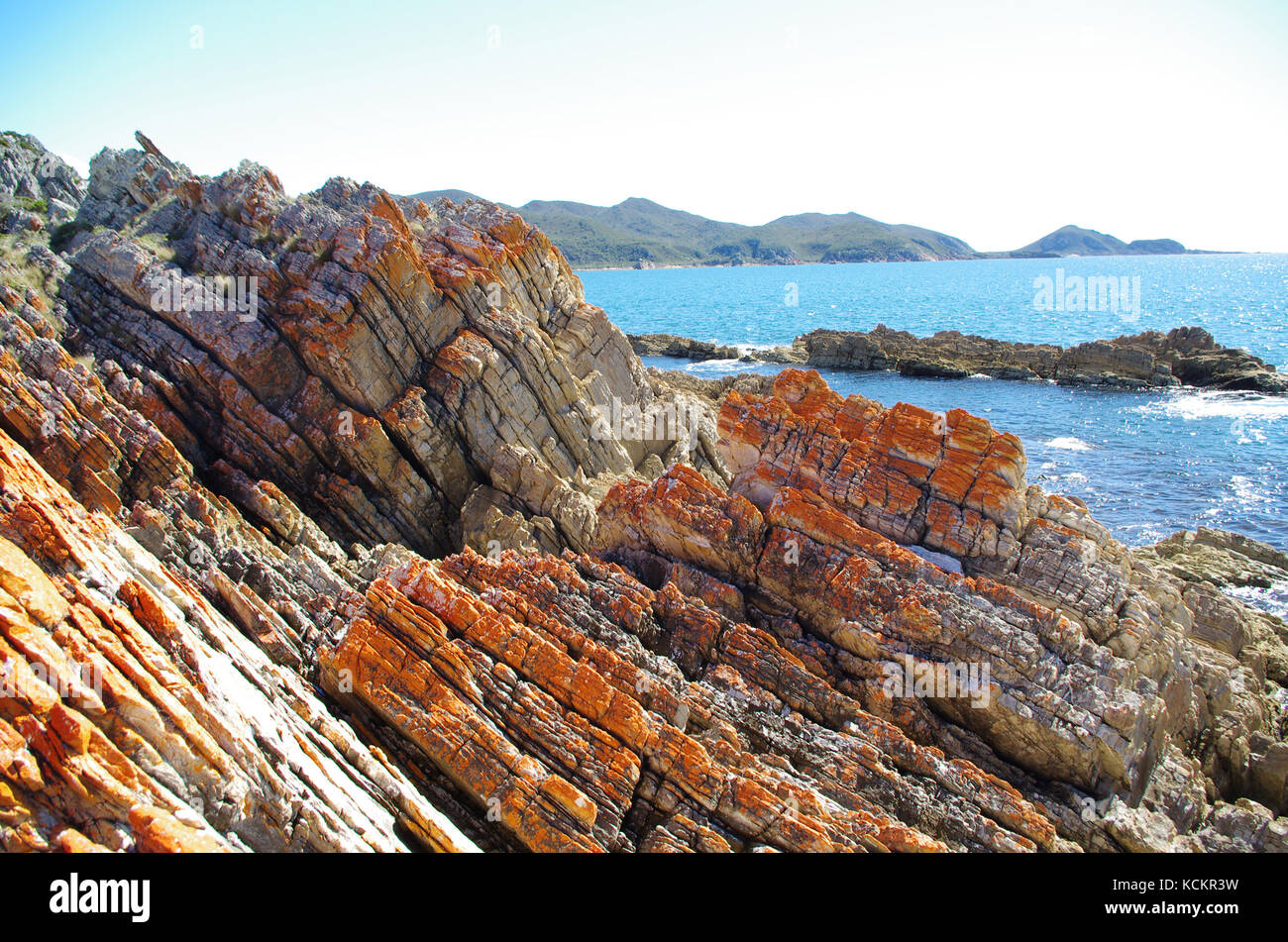 Coastline of tortured quartzite Pre-cambrian rocks that have undergone intensive folding over their long and ancient history. Rocky Cape, northwest Ta Stock Photo
