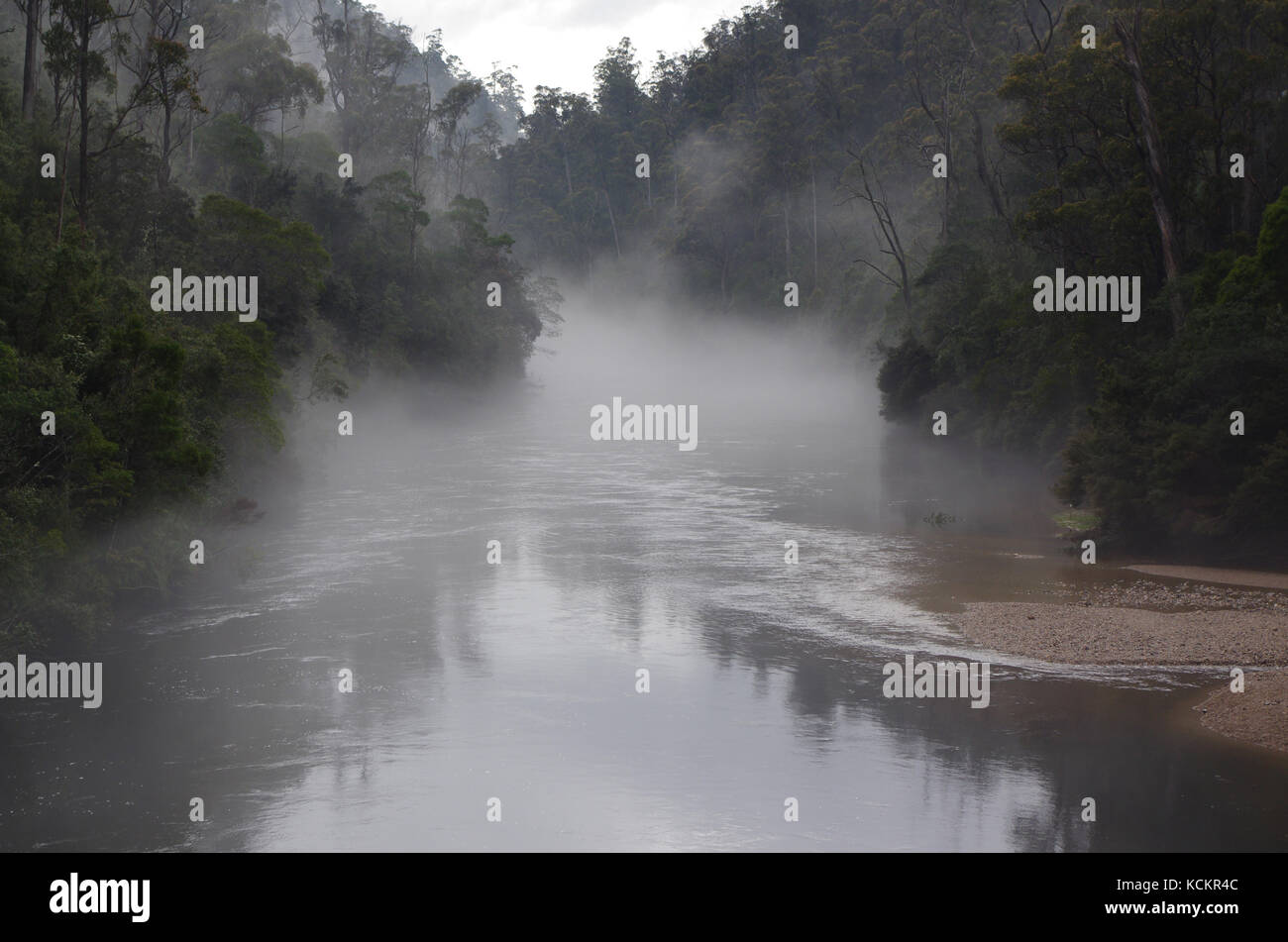 Early morning mist rising over the Forth River. Near Cathana, northwest Tasmania, Australia Stock Photo