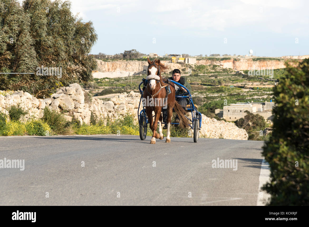 A man driving a racing horse and cart or carriage on a road in the countryside in Malta Stock Photo