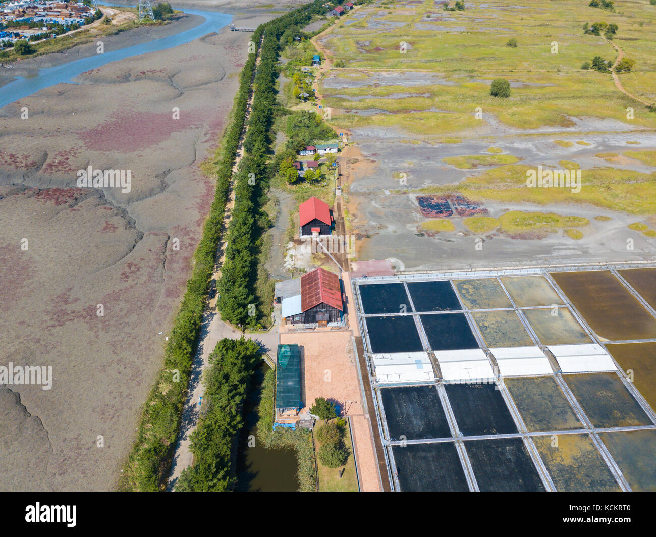 Ecological park seoul hi-res stock photography and images - Alamy
