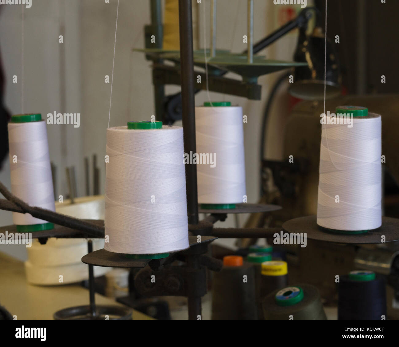 White sewing machine thread on bobbins Stock Photo Alamy